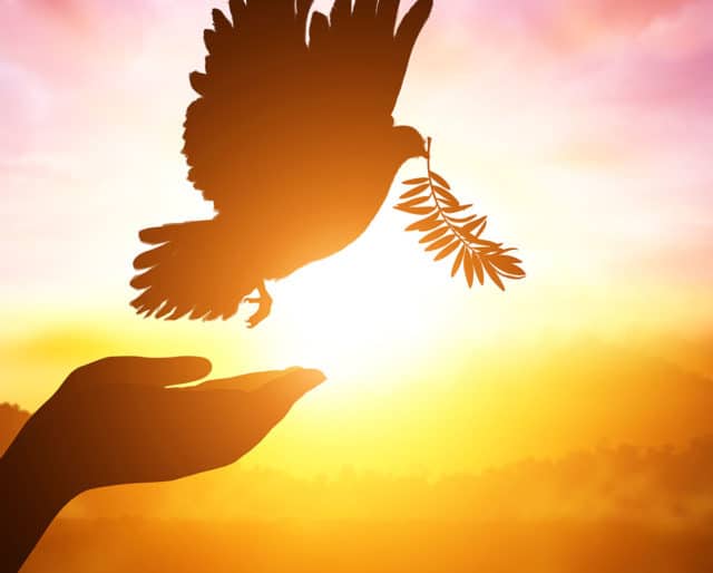 INTERNATIONAL DAY OF PEACE - September 21, 2021 | National Today